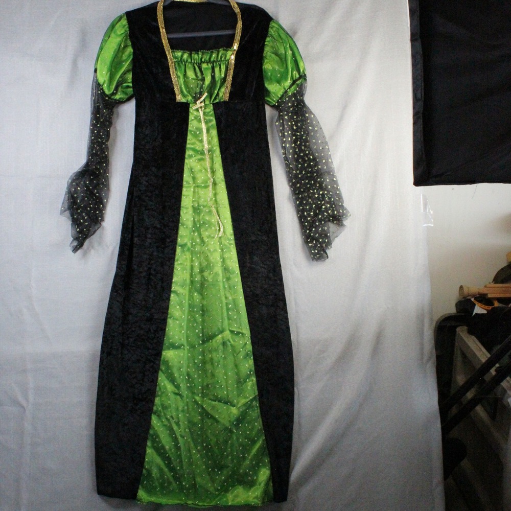 Rubies Sparkle Witch Dress Plus Size Green Black Velvet Gothic Renaissance Y2K